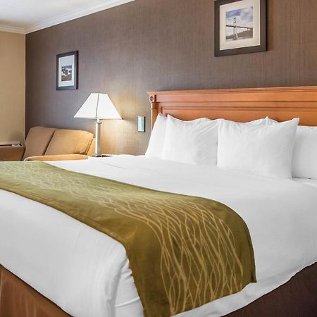 Comfort Inn Броквил Екстериор снимка